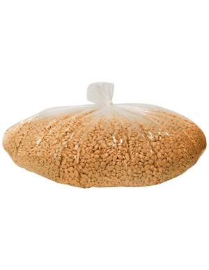 GOLD RUSH HYPOALLERGENIC...